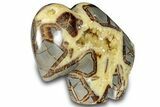 Calcite-Filled Polished Septarian Bison - Utah #301480-2